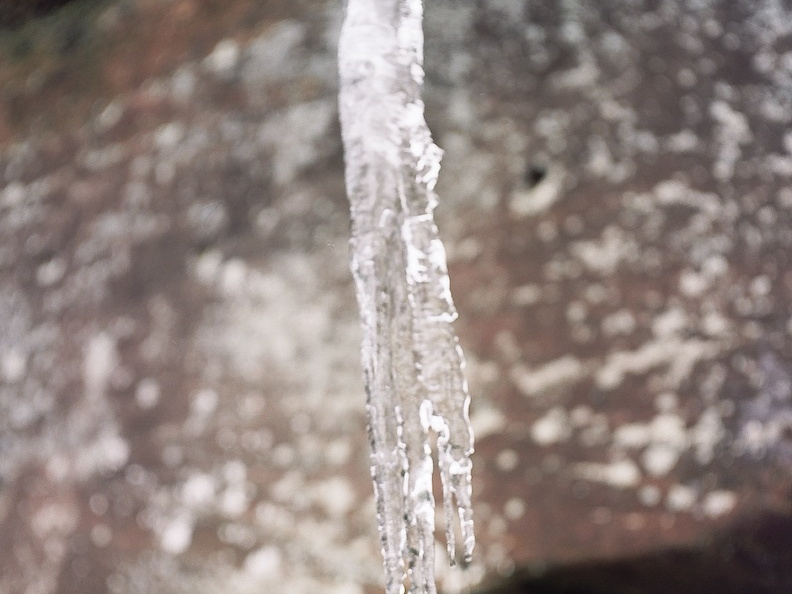 Ice on the Sheltowee Trace